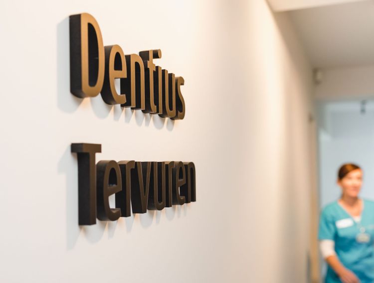 Dentius  Tervuren